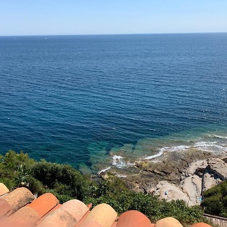 La Gavaresse Daire Carqueiranne Dış mekan fotoğraf